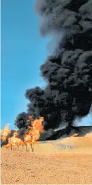  ?? Foto: Reuters ?? Alternativ­en zu Erdöl müssen ökonomisch sein, so Brand.