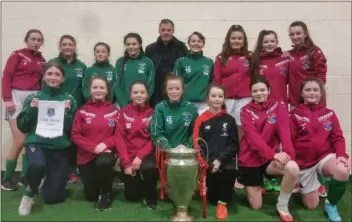  ??  ?? The Wicklow Rovers under-14 girls with Jamie Carragher.