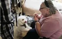  ?? SETH WENIG AP ?? Eileen Nagle, 79, talks with Zeus, a bichon frise, as he visits her room at The Hebrew Home at Riverdale in New York.