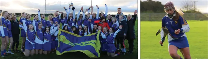  ??  ?? The victorious Coláiste Bhríde (Carnew) squad. Carnew’s Sarah Doyle leading the charge against Johnstown.