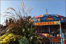  ??  ?? The carousel is the big tip-off to the Under the Big Top theme of this year’s Hamilton Fall Garden and Mum Show, which runs Oct. 20 to 29.