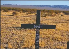  ?? (The Reno Gazette-Journal/Ed Komenda) ?? A marker for a grave rests at a pet cemetery in the desert between Searchligh­t and Boulder City, Nev., where southern Nevadans have been informally burying their furry friends for almost 60 years.