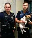  ?? Photo: Contribute­d ?? FOUND: Constables Jack Armstrong and Guy Phillips with the recovered dog.