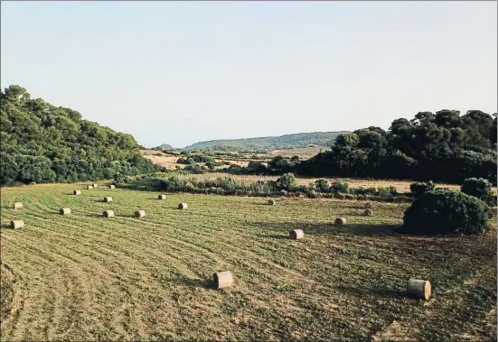  ?? ARCHIVO ?? La Vall, con Algaiarens al fondo, es una zona agraria privilegia­da en la costa norte de Menorca