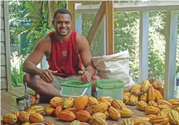  ??  ?? KokoMana farm manager Joeli Nataki depaodding cocoa beans at the cocoa farm at Daku Estate in Savusavu.