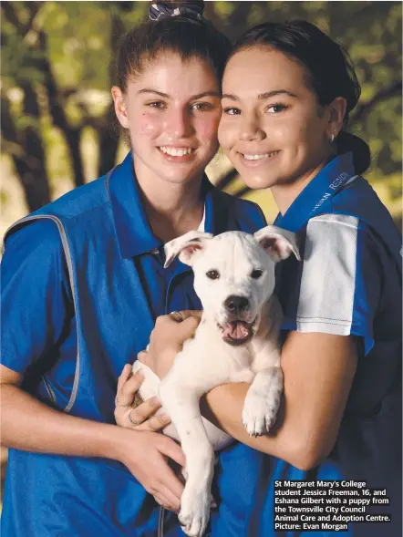  ??  ?? St Margaret Mary's College student Jessica Freeman, 16, and Eshana Gilbert with a puppy from the Townsville City Council
Animal Care and Adoption Centre. Picture: Evan Morgan