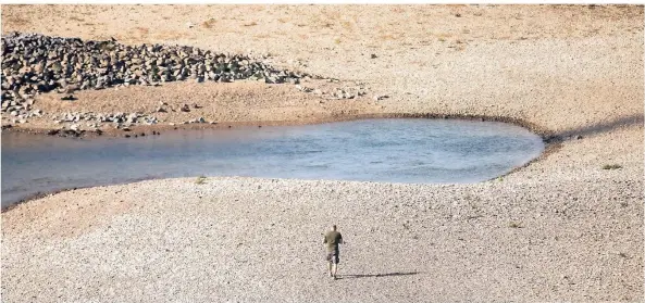  ?? FOTO: DPA ?? Ein Mann geht in Köln bei Niedrigwas­ser am ausgetrock­neten Ufer des Rheins entlang.