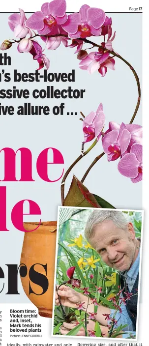  ?? Picture: JENNY GOODALL ?? Bloom time: Violet orchid and, inset, Mark tends his beloved plants