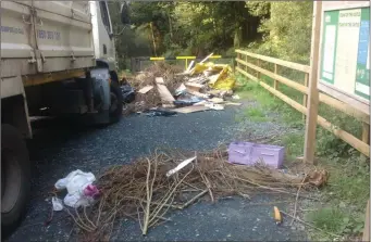  ??  ?? The PURE truck cleaning up the waste dumped along the Avonmore Way last week.