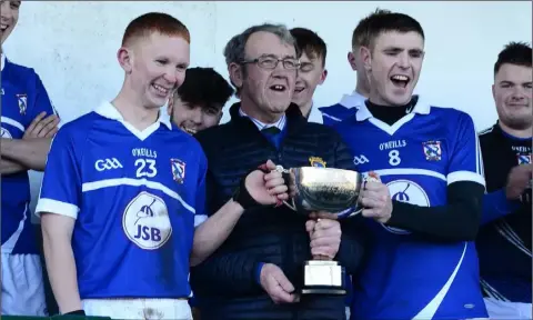  ??  ?? The All-Ireland Junior ‘B’ cup is handed over to Oylegate-Glenbrien’s joint captains Marty Kelly and Brian Doran.