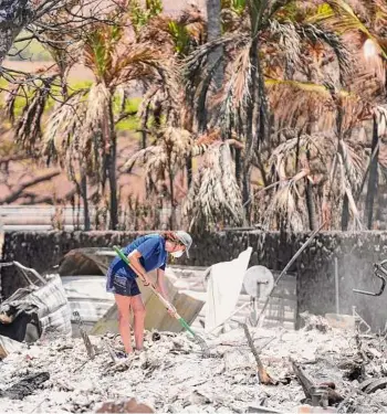  ?? ?? Rick Bowmer/Associated Press A woman digs through rubble of a home destroyed by a wildfire last week in Lahaina, Hawaii. Hope is hard to let go of as odds wane over reuniting with still-missing loved ones after a fire swept across the town of Lahaina on Hawaii’s Maui island earlier this month.