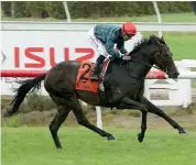  ?? TRISH DUNELL ?? Three year old Harlech wins at Te Rapa yesterday.