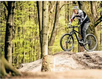  ?? RP-FOTO: ANDREAS ENDERMANN ?? Die Mountainbi­ker verhalten sich im Wald sehr unterschie­dlich. Einige suchen den Nervenkitz­el und vollführen waghalsige Sprünge von selbstgeba­uten Rampen.