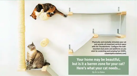  ?? ?? Physically and mentally stimulate your cat and provide all-important vertical space with the Thunderdom­e. Configure the wallmounte­d sisal posts and platforms as you wish for scratching and jumping fun! ($395, catastroph­iccreation­s.com)