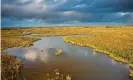  ?? Photograph: Loop Images/Alamy ?? Salt marshes, such as at Stiffkey in north Norfolk, are valuable for their role in mitigating carbon emissions.