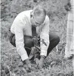  ??  ?? Sampath Bank PLC Branch Banking Deputy General Manager Thusitha Nakandala planting a ‘Mee’ plant at the Tree planting project which was parallel held along with the WewataJeew­ayak project