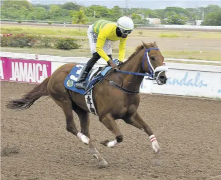  ?? (Photo: Karl Mclarty) ?? Commander Z (Tevin Foster) winning on debut over 5 furlongs (1,000m) straight on Sunday, April 14, 2024.