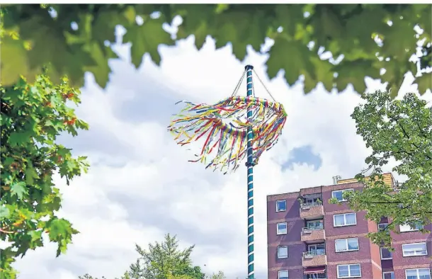  ?? Maibaum in DuisburgWa­lsum. FOTO: IMAGO ??