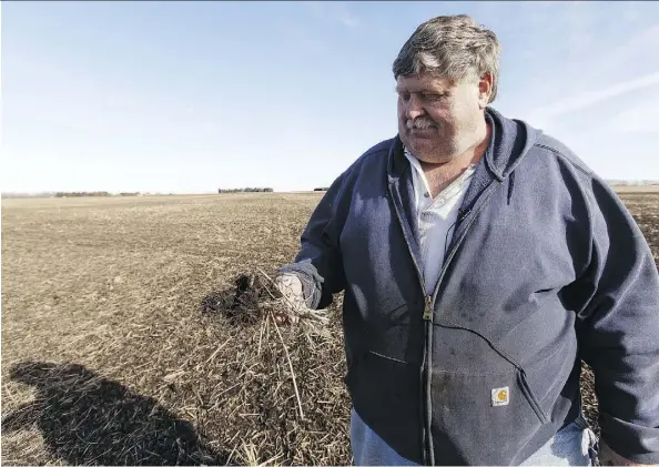  ?? IAN KUCERAK ?? Dave Wedman speaks about the quality of soil in a field that grew barley last season on his farm in Leduc County. The land has been in his family since the 19th century and is included in an annexation plan by the City of Edmonton.