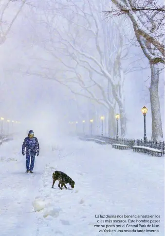  ??  ?? La luz diurna nos beneficia hasta en los días más oscuros. Este hombre pasea con su perro por el Central Park de Nueva York en una nevada tarde invernal.