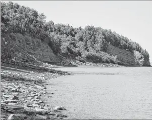  ?? THE CANADIAN PRESS ?? Blue Beach, near Nova Scotia’s Annapolis Valley, is shown in a handout photo. A species of fish that lived 350 million years ago has been discovered in Nova Scotia, casting new light on a little-understood time period. The discovery was made by Jason...