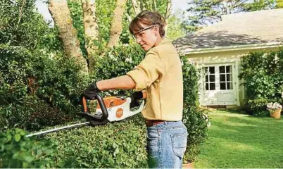  ?? Foto: DJD/Stihl ?? Mit einem sauberen Schnitt ins Frühjahr starten: Mit einer Akku-Heckensche­re fällt die Pflege des grünen Gartenzaun­s besonders leicht.