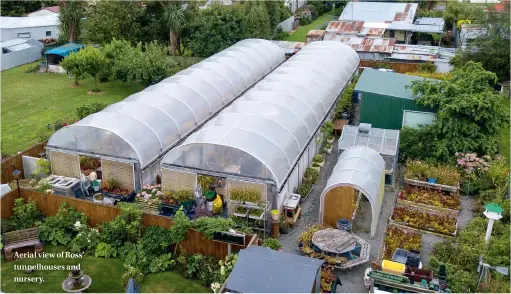  ??  ?? Aerial view of Ross’ tunnelhous­es and nursery.