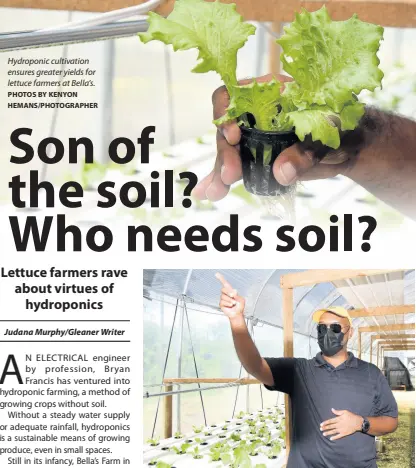  ??  ?? Lorne Green, manager at Bella’s Farm in Bog Walk, St Catherine, talks about the virtues of greenhouse hydroponic cultivatio­n.
