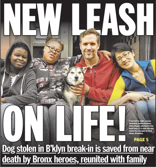  ??  ?? From left to right: Lauren McKelvin, Selina Parham, Chris Mayne and Kaori Goto hold Zoey, a 12-year-old dog stolen by a burglar in Park Slope, Brooklyn.