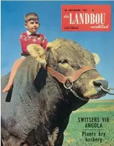  ??  ?? 28 September 1965 Albertyn Nel ry sy oupa se grootkampi­oenbul, Toekoms Shamrock. Die bul, wat die skaal op 2 250 pond trek, behoort aan mnr. P.D. Albertyn van Onverwag, Ottosdal, wat saam met sy seun, Marinus, bruin Switserbee­ste teel en uitvoer.