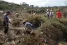  ?? Félix Márquez/AP ?? Searchers look for signs of clandestin­e graves inside a municipal dump in the port city of Veracruz on 11 March 2019. Photograph: