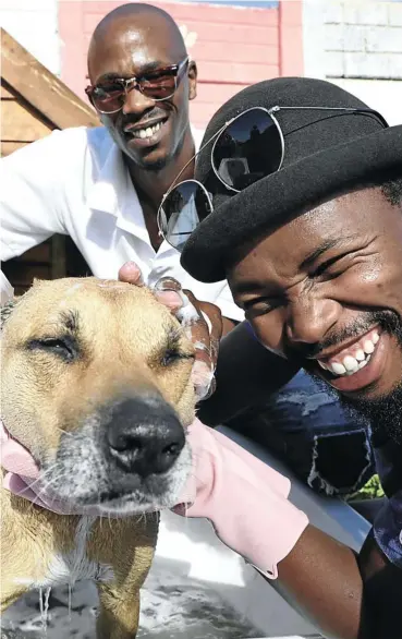  ?? Picture: Esa Alexander ?? Don’t be surprised if Masakhane Sotayisi, right, breaks into an Offenbach aria while bathing dogs with his brother Zukile. The opera singer launched a grooming business in Khayelitsh­a after the lockdown ended live performanc­es.