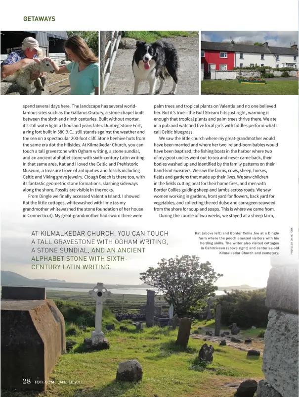  ??  ?? Kat ( above left) and Border Collie Joe at a Dingle farm where the pooch amazed visitors with his herding skills. The writer also visited cottages in Cahircivee­n ( above right) and centuries- old Kilmalkeda­r Church and cemeter y.