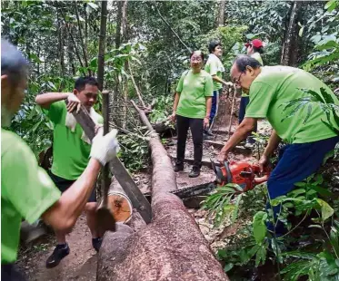  ??  ?? Green heroes: Members of Friends of Bukit Gasing helping to clear a fallen tree off one of the trails in Bukit Gasing.