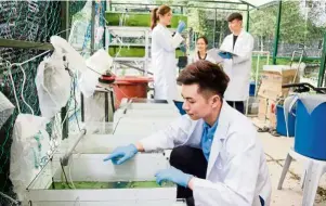  ??  ?? Students checking saplings and fishes during their Food Analysis class.