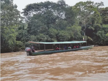  ??  ?? LIFE IN THE AMAZON: Motored canoes take tourists to the Itamandi Eco Lodge near Tena, Ecuador. At left, one of the incredible plants found in the Amazon near Tena.