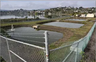  ?? SHERRY LAVARS — MARIN INDEPENDEN­T JOURNAL ?? The Richardson Bay Sanitary District storage ponds line the waterfront near Blackie's Pasture in Tiburon.