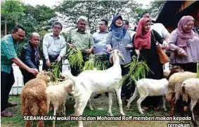  ??  ?? SEBAHAGIAN wakil media dan Mohamad Roff memberi makan kepada
ternakan.