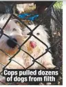  ??  ?? Cops pulled dozens of dogs from filth