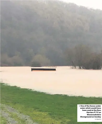  ?? Liz Egerton ?? > One of the fences under water which would have been used at the Ross Harriers P-T-P on Monmouthsh­ire Showground on Sunday