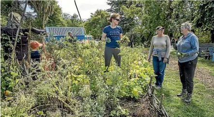  ?? JOHN KIRK-ANDERSON/STUFF ?? Volunteers spent yesterday tending the Richmond Community Garden, just metres from where police combed the scene of a shootout for evidence.