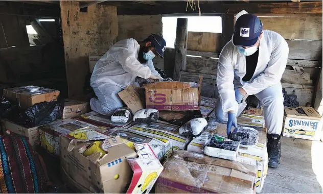  ?? WAM ?? ↑
Dubai Customs foiled a drug smuggling operation, seizing 662kg of different types of narcotics.