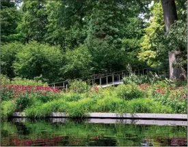  ?? Tom Potterfiel­d/Timber Press via AP ?? A large intermixin­g masses of purple-flowering monarda mix with palm sedge and garden phlox grow along the sunny edge of a gentle slope planted with actea, which thrives in the drier and shadier conditions under a mature pin oak in the New York...