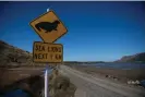  ?? Photograph: NurPhoto/Getty Images ?? The road to Allans Beach in Portobello on Dunedin’s Otago Peninsula, New Zealand.