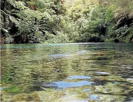  ?? PETRICE TARRANT/STUFF ?? Putaruru Blue Spring is one of the nation’s best kept secrets, according to locals who walk it frequently.