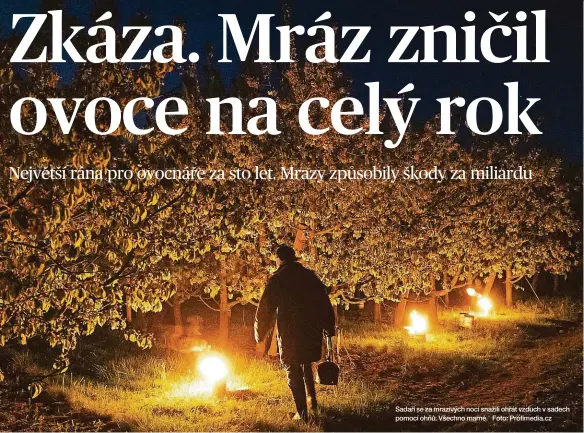  ?? Foto: Profimedia.cz ?? Sadaři se za mrazivých nocí snažili ohřát vzduch v sadech pomocí ohňů. Všechno marné.