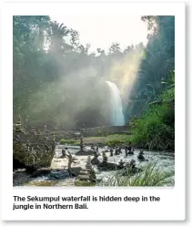  ??  ?? The Sekumpul waterfall is hidden deep in the jungle in Northern Bali.