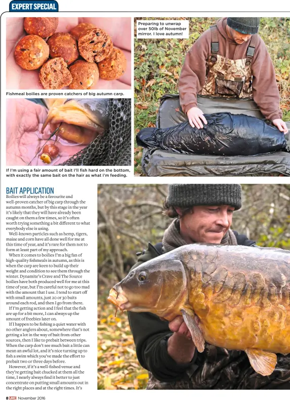  ??  ?? Fishmeal boilies are proven catchers of big autumn carp. Preparing to unwrap over 50lb of November mirror. I love autumn! If I’m using a fair amount of bait I’ll fish hard on the bottom, with exactly the same bait on the hair as what I’m feeding.