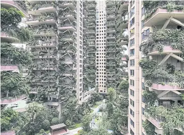  ?? AFP ?? This photo taken on Aug 3 shows apartments with balconies covered with plants in Chengdu, Sichuan province.