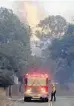  ?? DAVID CRANE/AP ?? Flames ignite in trees in the Lake View Terrace area of Los Angeles.